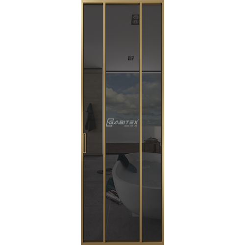 Дверь алюминиевая GABITEX 17 GREY│GOLD MATT