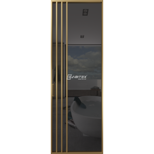 Дверь алюминиевая GABITEX 29 GREY│GOLD MATT