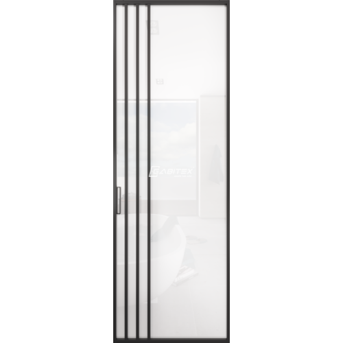 Дверь алюминиевая GABITEX 29 BIANCO│BLACK EDITION