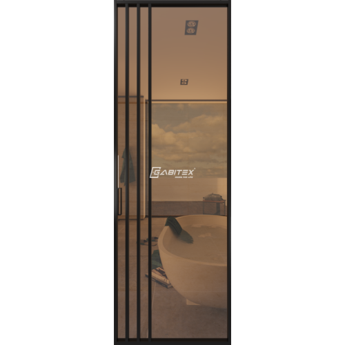 Дверь алюминиевая GABITEX 29 BRONZE│BLACK EDITION